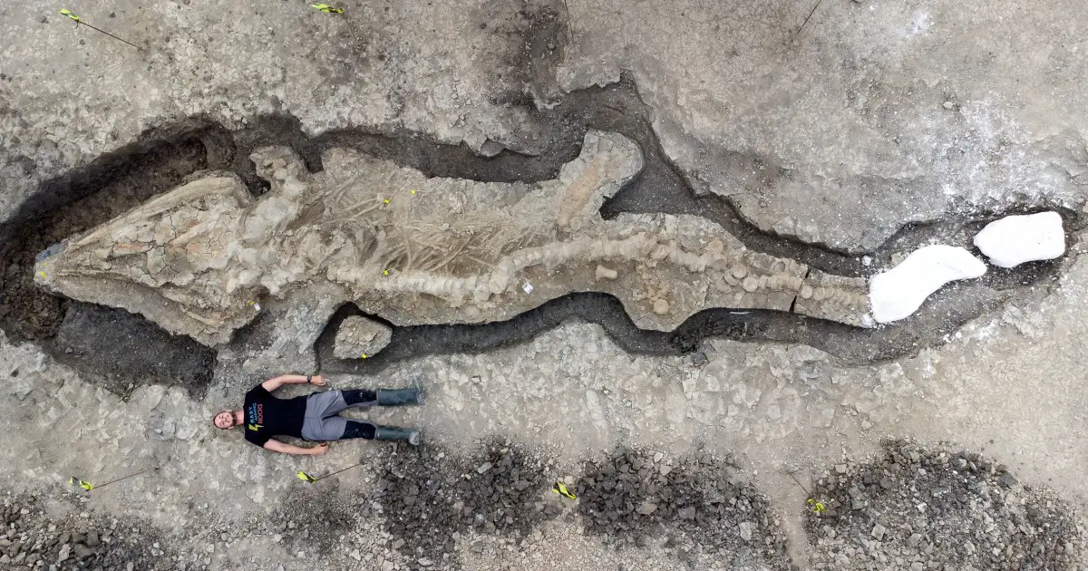 Scientists unearth a 32-foot-long prehistoric 'sea dragon' fossil in Britain