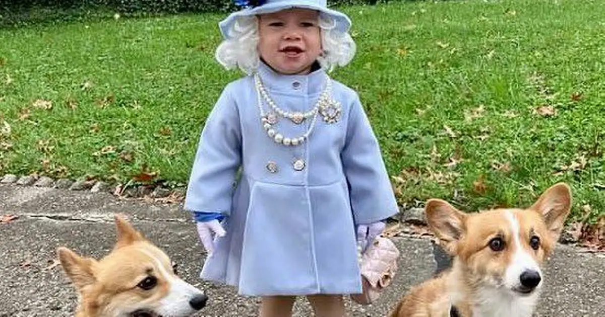 Young girl receives letter from Windsor Castle after dressing up as the Queen with her corgis