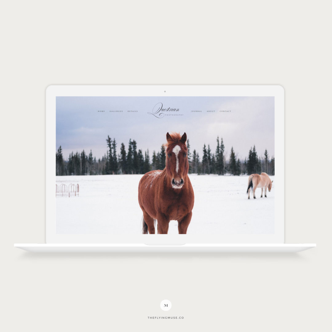 Questrian - Equestrian ProPhoto 7 Website Design Template for Photographers