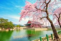 Don’t Do These 8 Things When Traveling to South Korea