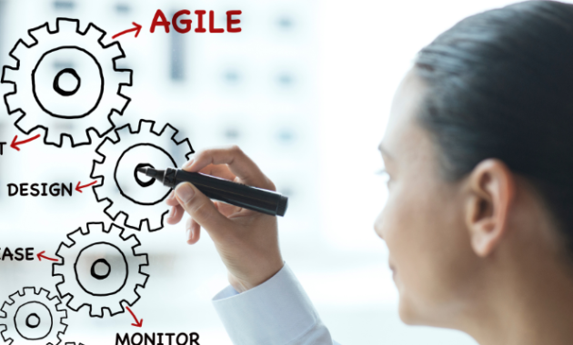 Agile Testing Life Cycle – Everything You Need To Know