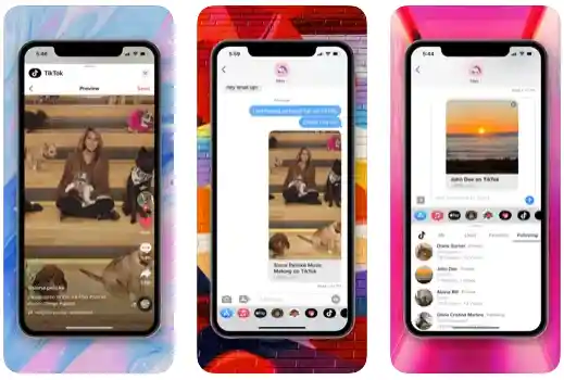 What is the difference between TikTok and TikTok lite?
