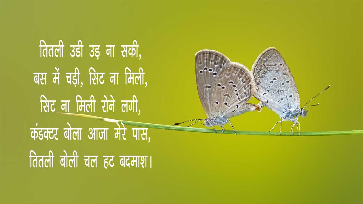 essay on butterfly in hindi