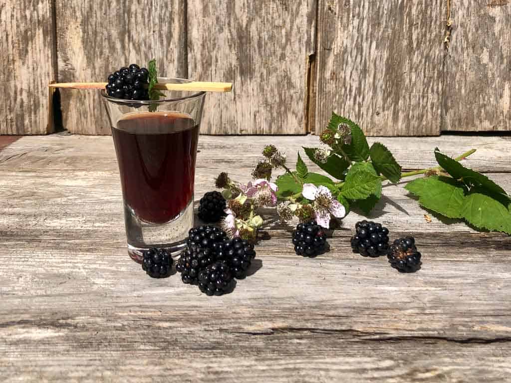 Easy recipe for Blackberry Vodka (2022)