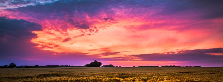 Field and Pink Sky Facebook Cover Photo