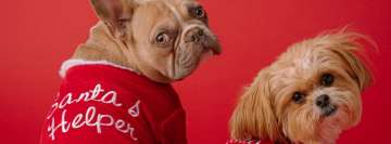 Adorable Dogs As Santas Helper Facebook background TimeLine Cover