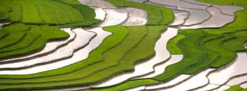 Aerial Photography of Green Rice Terraces Facebook Cover Photo
