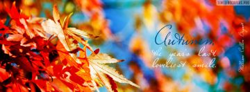 Der Herbst am schönsten Facebook-Cover-Foto