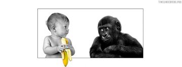 Los mejores amigos de los bebés chimpancé