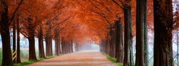 Best Place to Walk in Fall Facebook Cover Photo