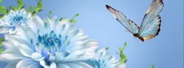 Blauer und weißer Schmetterling