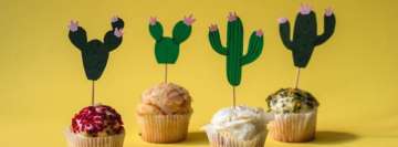 Cupcakes and Cactus Facebook Cover-ups
