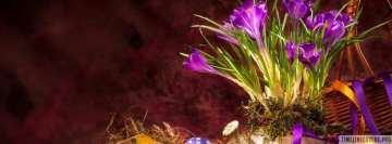 Húsvéti lila virágok Facebook borítókép fotó