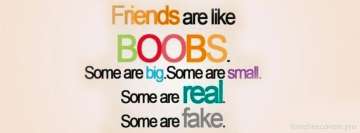 Friends are Like Facebook Banner
