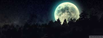 Full Moon Over Pine Tree Forest Facebook Cover