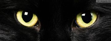 Halloween Black Cat Eyes Facebook Cover Photo
