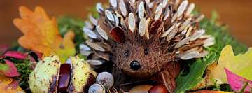 Hedgehog Wood Toy Facebook Cover Photo