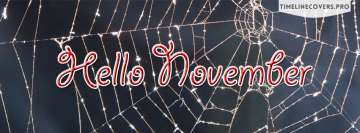Hello November Spiderweb Halloween Season Facebook Wall Image