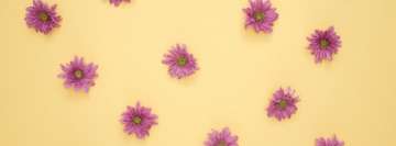 Purple Daisy Flowers Facebook Cover