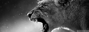 Savage Lion Facebook Banner