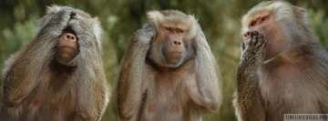Nem látni gonoszt Hallani, nem gonosz beszélni, nem rosszat A három bölcs majom Facebook borítólap