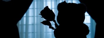 Teddy Bear with Roses Facebook background TimeLine Cover