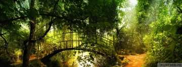 The Sunny Green Bridge Facebook Cover Photo