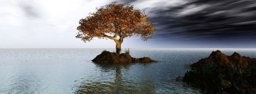 Tree Island Facebook Cover