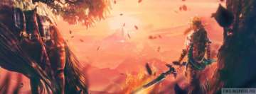 Video Game The Legend of Zelda Breath of The Wild Amazing View Facebook Cover Photo