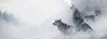 Wolfs Howling Facebook Cover Photo