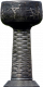 Campeão da Sérvia
