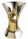 Campeão Brasileiro