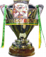 Campeão da Copa do Brasil