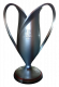 Polish cup winner