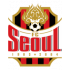 FC 서울