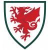 Wales U19