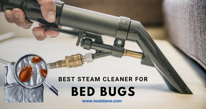 Best Bed Bug Steamer