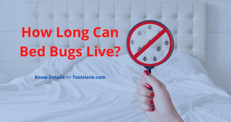 How long can bed bugs live in an empty house