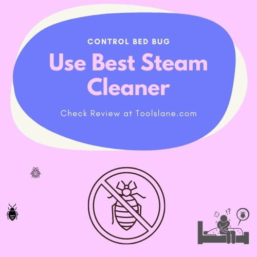 Best Steamer for Bed Bugs
