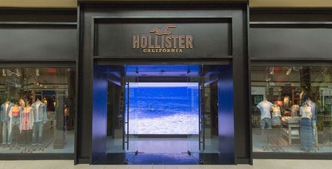 Hollister Customer Satisfaction Survey 