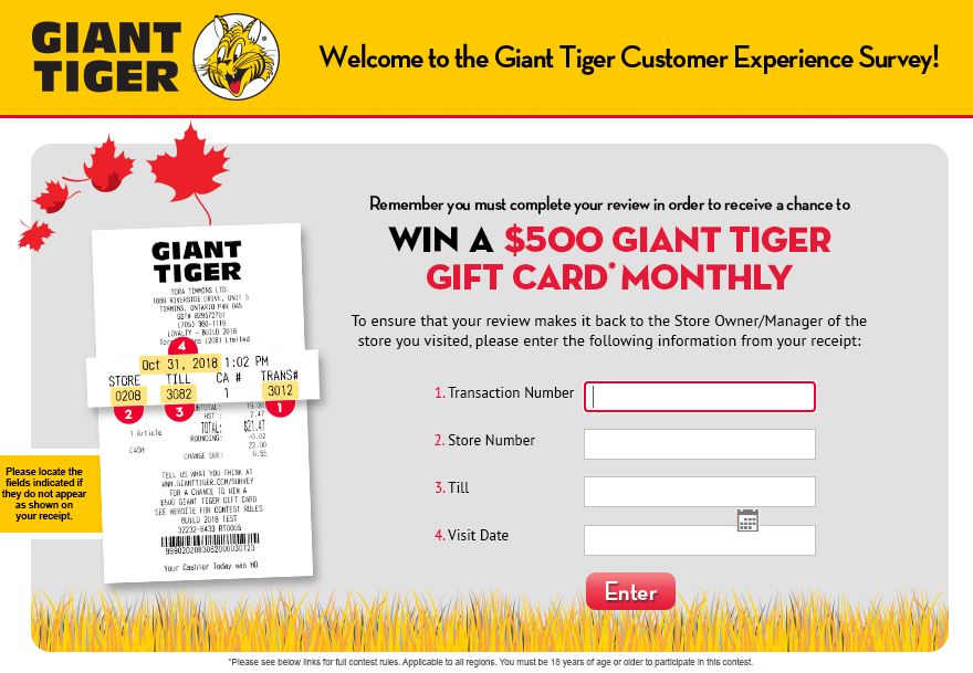 Giant Tiger Guest Survey