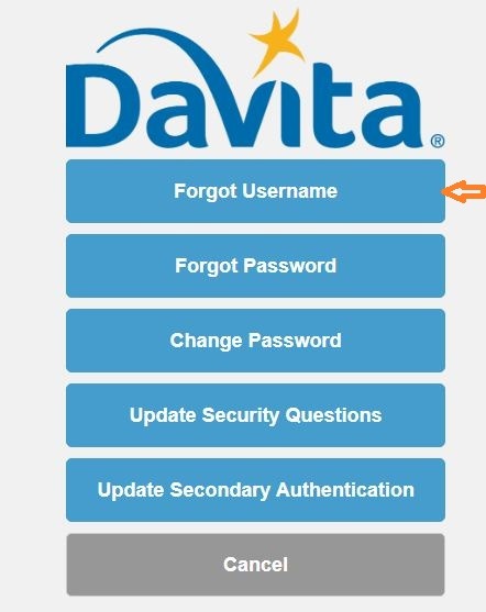 Davita Village Web