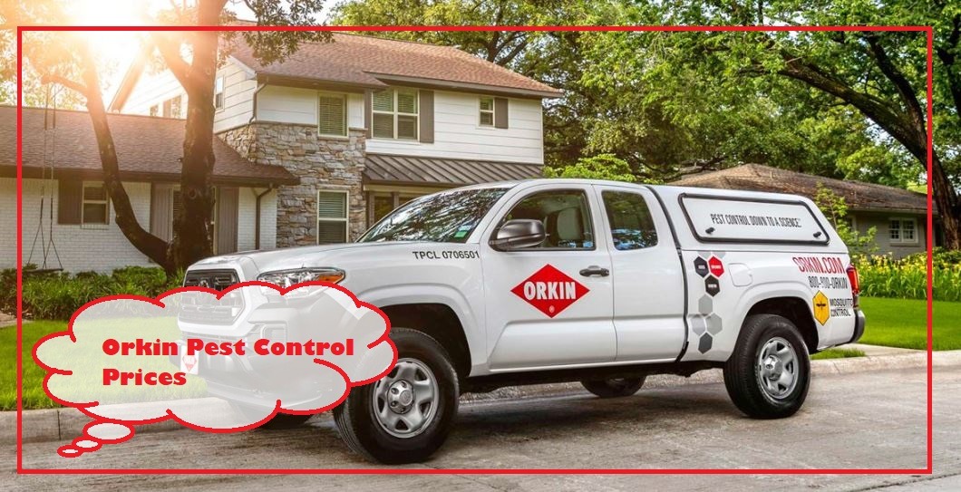 Orkin Pest Control Prices, Cost, Reviews, Phone Number, Payment, Near me