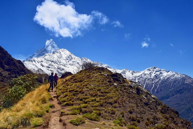 Trekking Company in Nepal [How To Choose Best Agencies]