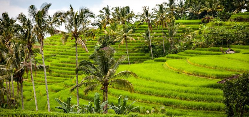 The 11 Best Things to Do in Bali: The Ultimate Travel Guide
