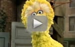 Sesame Street Star Caroll Spinney Retiring After 49 Years