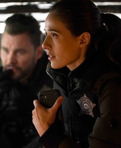 Surveying Together-tall  - Chicago PD Season 9 Episode 11