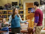 Cohabitation Issues - The Big Bang Theory