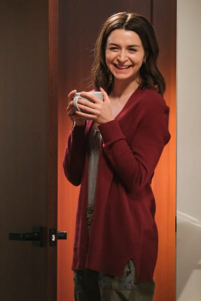 Amelia to the Rescue  - Grey's Anatomy Season 17 Episode 9