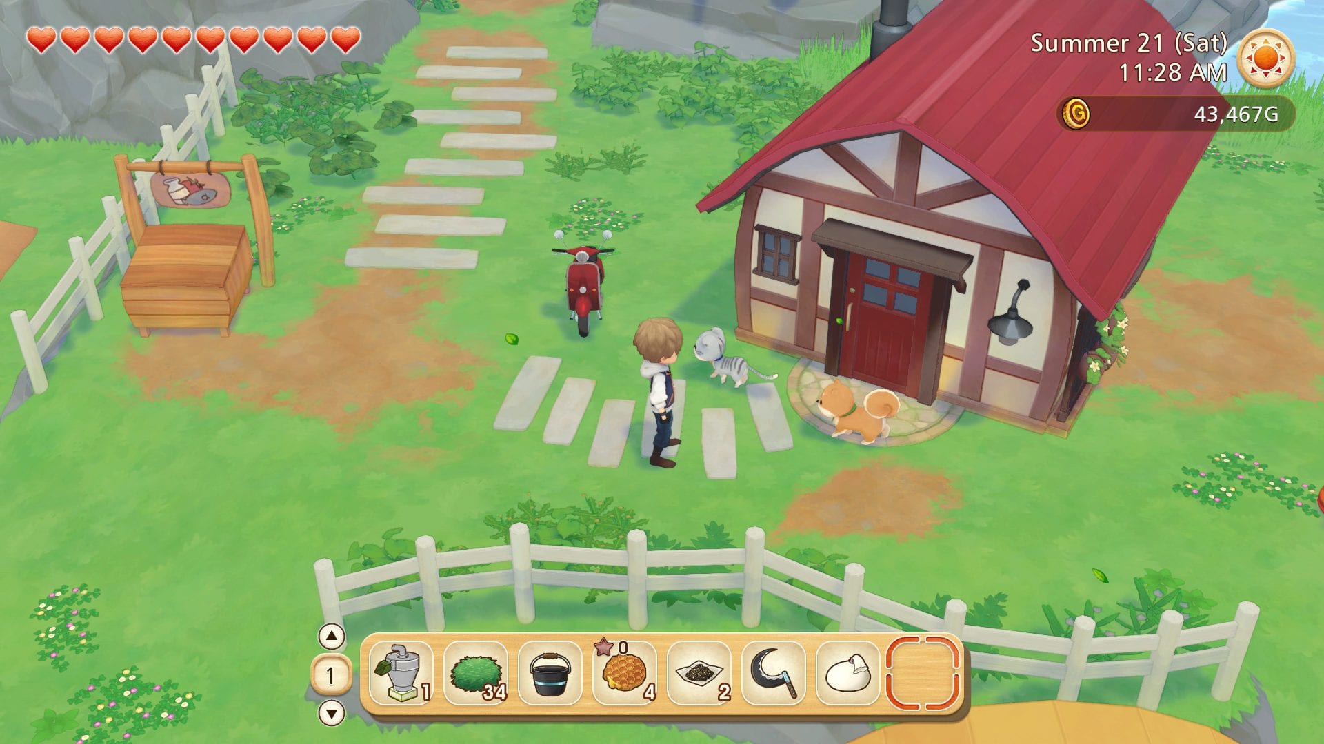 story of seasons pioneers of olive town town medals